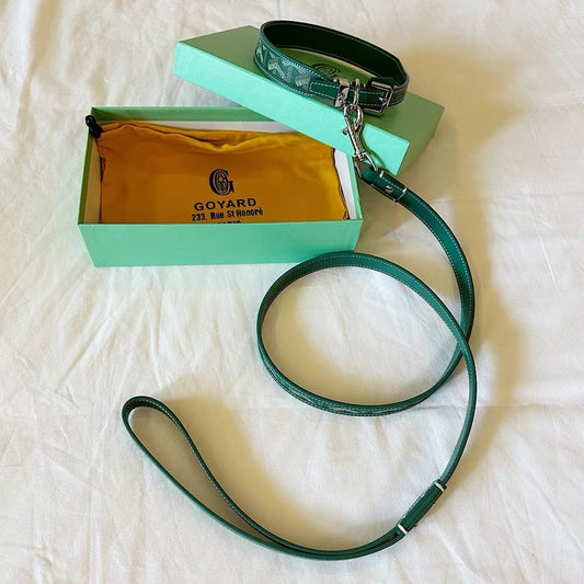 ✨ GEY Premium Leather Dog Collar & Leash Set ✨